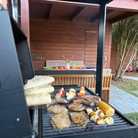 Elbharmonie Ferienhaus *