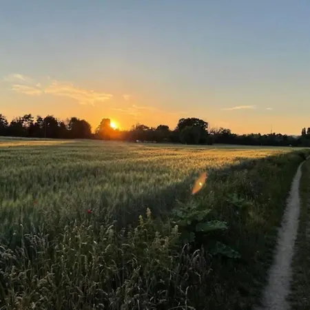 Ideal Für - Familientreffen - Elbharmonie - Hunde Herzlich Willkommen Сasa de vacaciones Dresde
