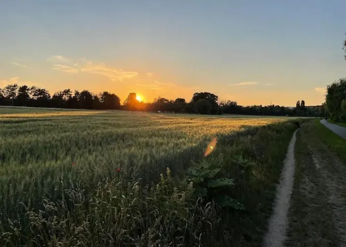 Elbharmonie - Hunde Willkommen, Garten Vollstaendig Umzaeunt, Pool, Kamin Und Spielzimmer - Super Fuer Familientreffen Holiday home Dresden