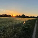 Elbharmonie - Hunde Willkommen, Garten Vollstaendig Umzaeunt, Pool, Kamin Und Spielzimmer - Super Fuer Familientreffen Дом отдыха Дрезден